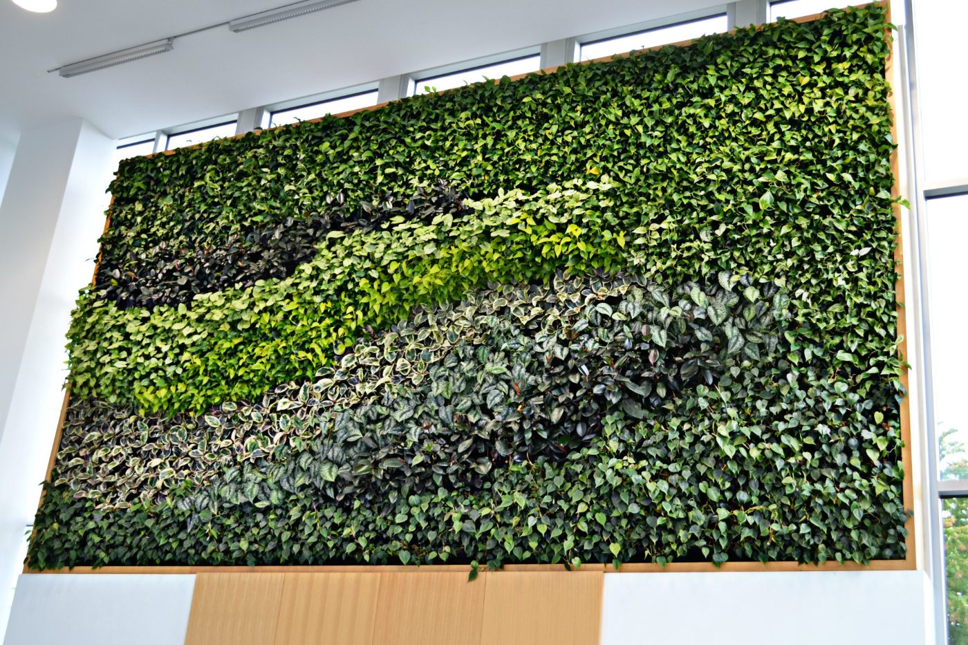 Living wall